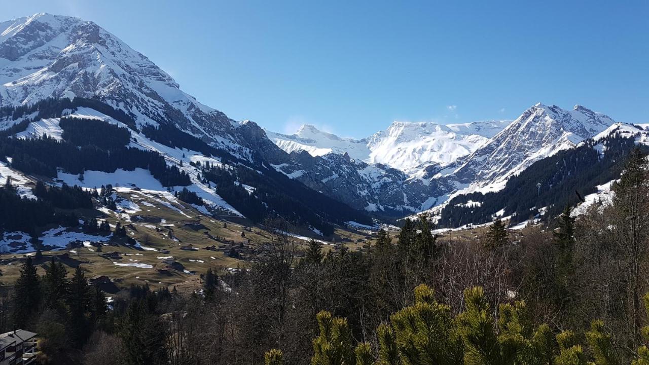 Hotel Crystal Adelboden Exterior foto